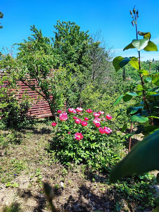 Salara Farmhouse Koper Luaran gambar