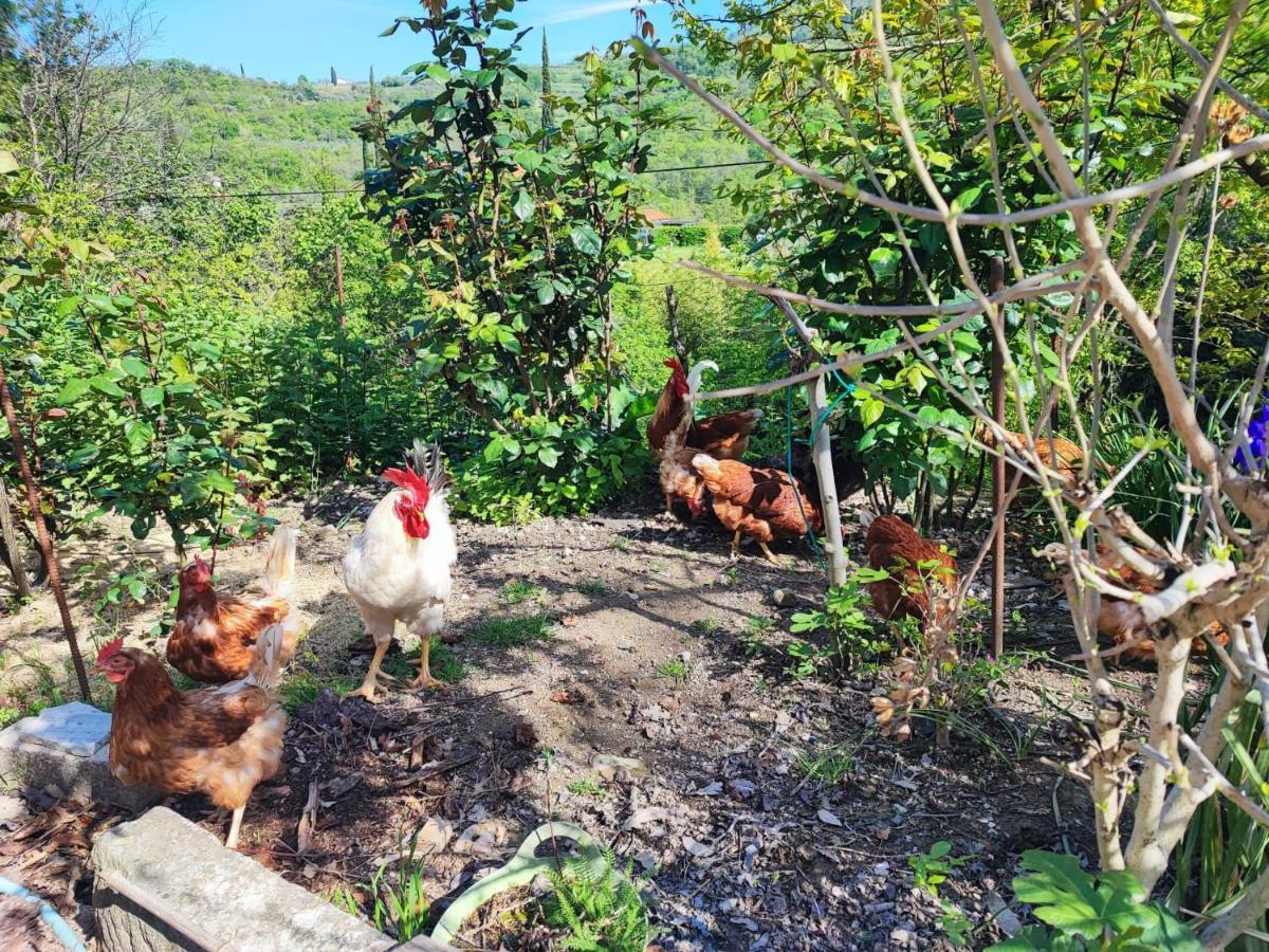 Salara Farmhouse Koper Luaran gambar