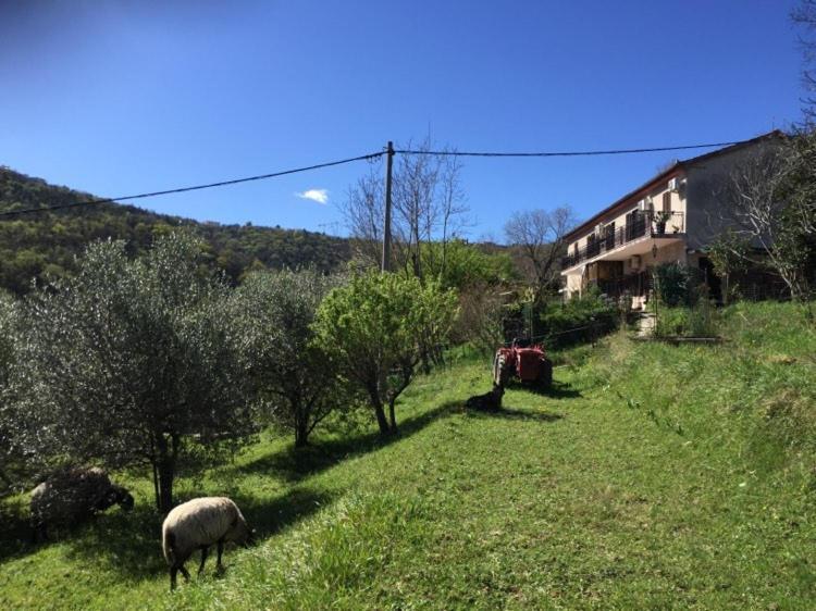 Salara Farmhouse Koper Luaran gambar